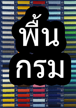 พื้นสีกรม